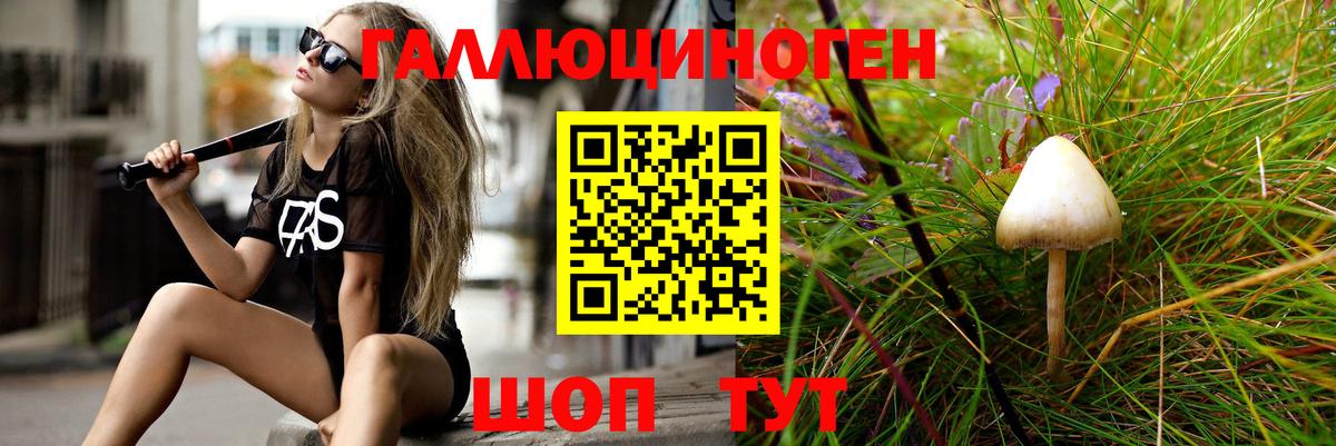 Сегежа  Псилоцибиновые грибы GOLDEN TEACHER  Вход с VPN 